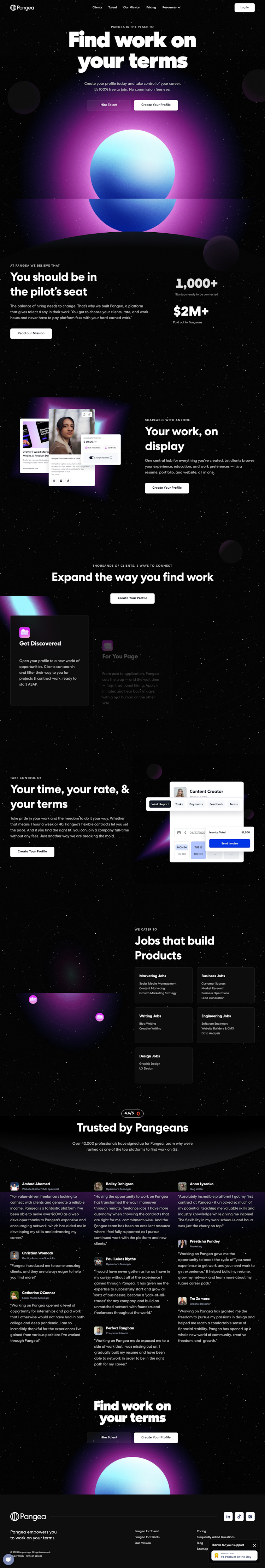 Pangea  Landing Page Design